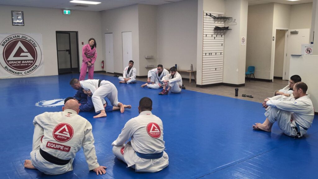 Adults jiu-jitsu training